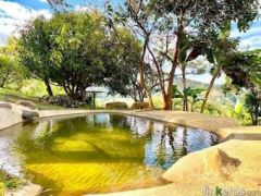 Encantador Eco Hotel Campestre En Dapa - Finca en Cali, Valle del Cauca